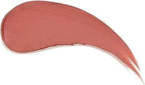 Sheglam Matte Lip Stick (Daddy's Jet)